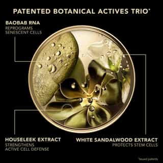 Premium O Creme Voluptuoso