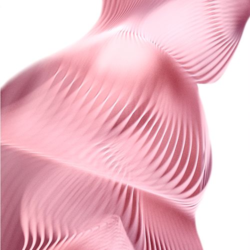 ARN DA ROSA